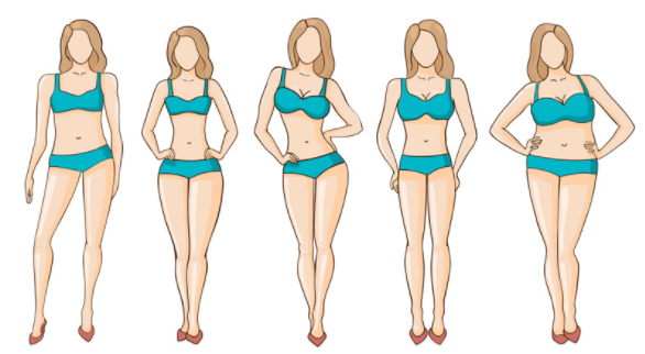 forma del corpo delle donne fisico a clessidra fisico a pera fisico a mela fisico a rettangolo morbido